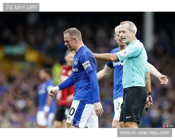 伯恩茅斯2-1逆转埃弗顿拉扬连场破门，保级队韧性搅乱中游格局